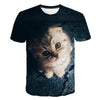 3D Cat T-Shirt